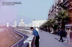 Mas- 085- Oran 
